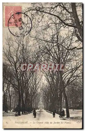 Cartes postales Toulouse La Grande Allee du Jardin des Plantes