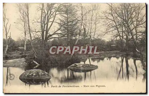 Ansichtskarte AK Foret De Fontainebleau Mare Aux Pigeons