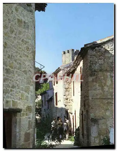 Cartes postales moderne Marressingle Une rue du village La creperie Atelier de foies gras