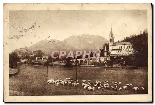 Cartes postales Lourdes Basilique et le Pic Du Jer