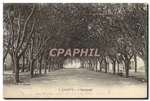 Cartes postales Lodeve L&#39Esplanade