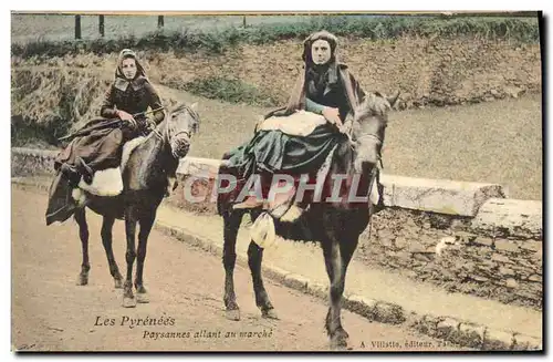 Ansichtskarte AK Les Pyrenees Paysannes allant au Marche Ane Mule Folklore