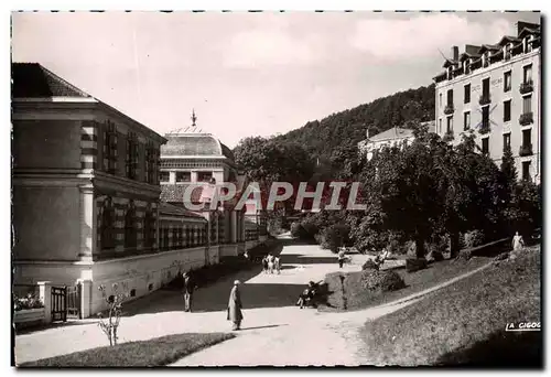 Cartes postales moderne Chatelguyon Le Parc et l&#39etablissement thermal Henry