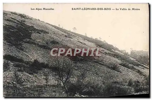 Cartes postales Saint Leonard Des Bois La Vallee de Misere