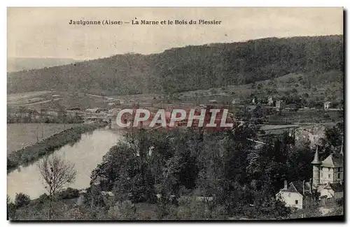 Cartes postales Jaulgonne La Marne et le Bois Du Plessier