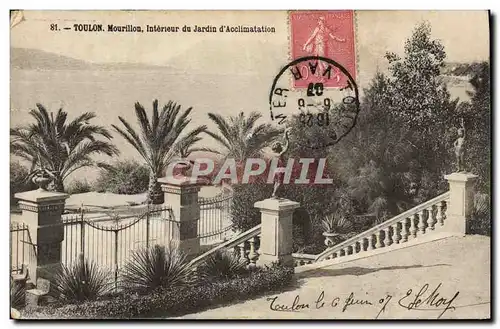 Cartes postales Toulon Mourillon Interieur du jardin d&#39acclimation
