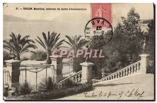 Cartes postales Toulon Mourillon Interieur du jardin d'acclimation
