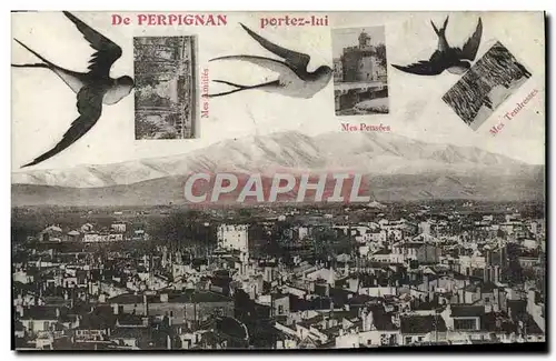 Cartes postales De Perpignan Portez Lui