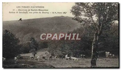 Ansichtskarte AK Environs de Saint Maurice Bailon de Servance Vue Prise du Beurey Vaches