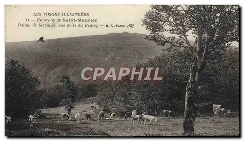 Cartes postales Environs de Saint Maurice Bailon de Servance Vue Prise du Beurey Vaches