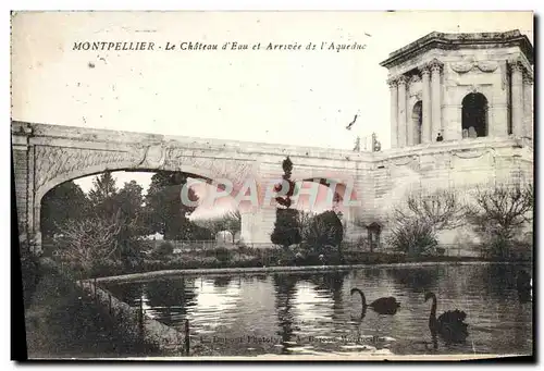 Cartes postales Montpellier Le Chateau d'eau et Arrivee de l'aqueduc Cygne Noir