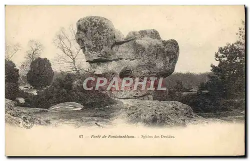 Ansichtskarte AK Foret de Fontainebleau Sphinx des Druides