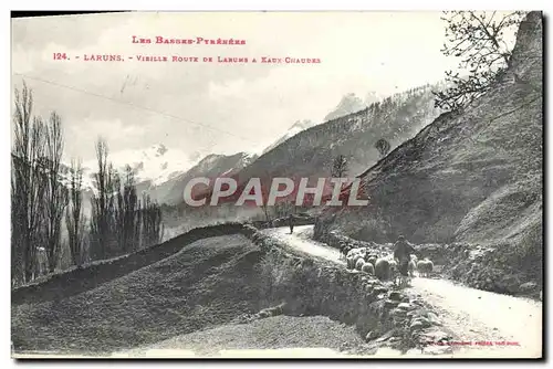 Cartes postales Laruns Vieille Route De Laruns a Eaux Chaudes Berger Moutons