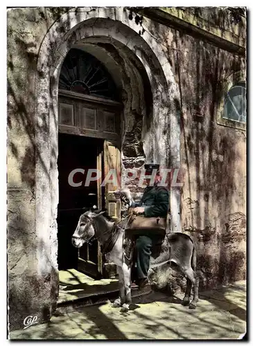 Moderne Karte Types Corses Le Facteur Ane Mule Corsica