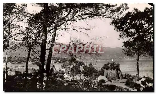 Cartes postales moderne Le Lavandou La Faviere