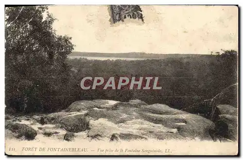 Ansichtskarte AK Foret De Fontainebleau Vue Prise De la Fontaine Sanguinede