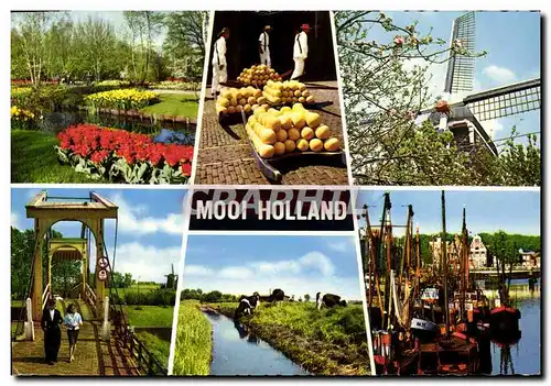 Cartes postales moderne Modi Holland Moulin a vent