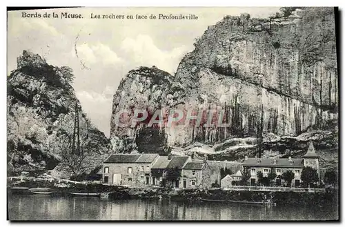 Cartes postales Bords De La Meuse Les Rochers En Face De Profondeville