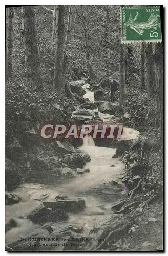 Ansichtskarte AK Plombieres Les Bains La cascade du parc