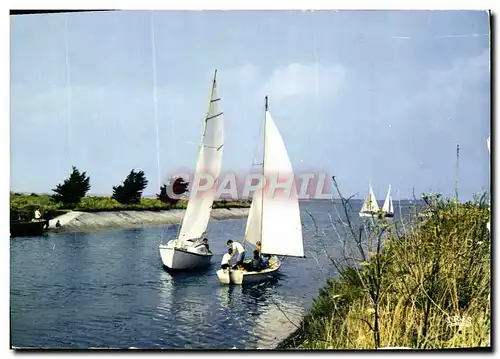 Cartes postales moderne Ile de Re Le Chanal D&#39Ars