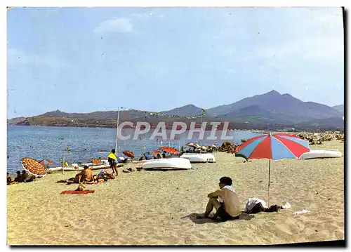 Cartes postales moderne Argeles Sur Mer La Plage du Centre