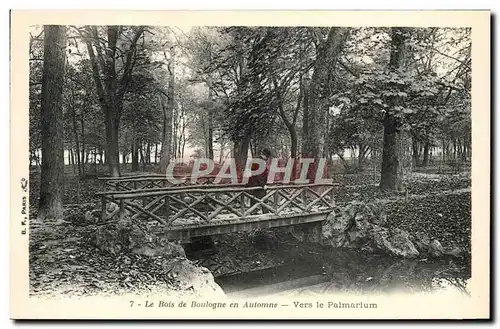 Cartes postales Le Bois de Boulogne en Automne Vers le Palmarium