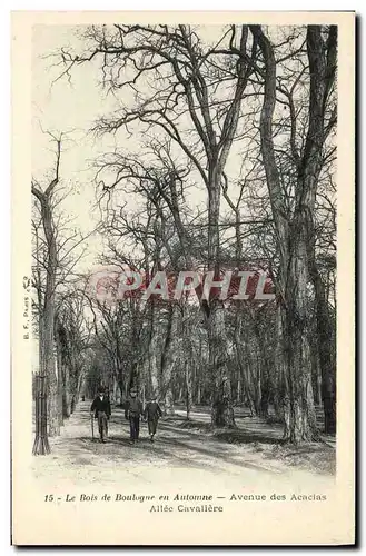 Cartes postales Le Bois de Boulogne en Automne Avenue des Acacias Allee cavaliere