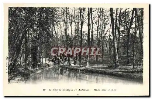 Ansichtskarte AK Le Bois de Boulogne en Automne Mare aux Biches