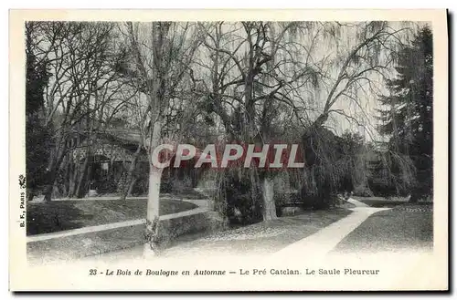 Ansichtskarte AK Le Bois de Boulogne en Automne Le Pre Catelan Le Saule pleureur