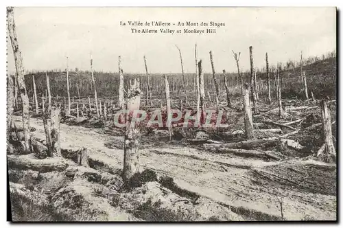 Cartes postales La Vallee De I&#39Ailette Au Mont Des Singes Militaria