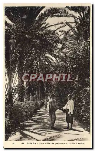 Ansichtskarte AK Biskra Une Allee De Palmiers Jardin Landon