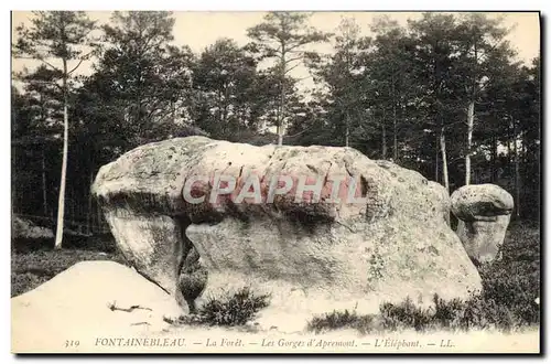 Ansichtskarte AK Fontainebleau La Foret Les Gorges Apremont L&#39elephant