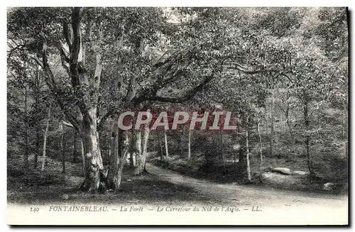 Cartes postales Fontainebleau La Foret Le Carrefour Du Nid De I&#39Aigle