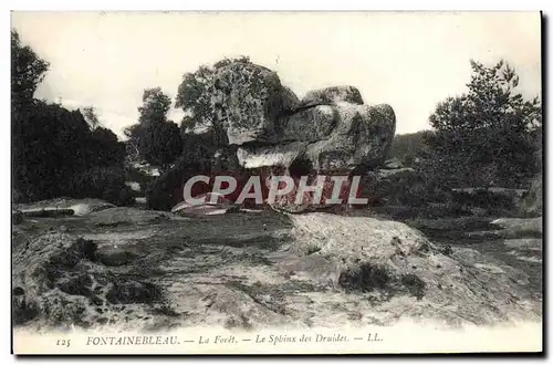 Cartes postales Fontainebleau La Foret Le Sphinx Des Druides