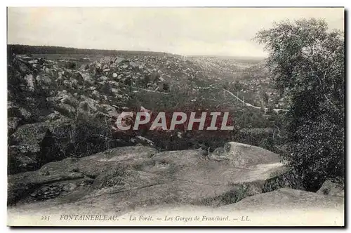 Ansichtskarte AK Fontainebleau La Foret Les Gorges De Frauchard