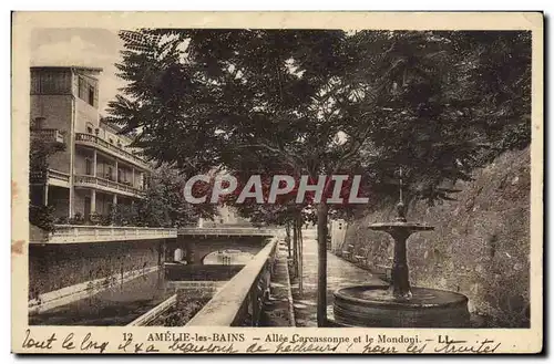 Cartes postales Amelie Les Bains Allee Carcassonne Et Le Mondoni