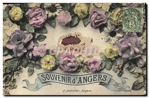 Cartes postales Souvenir d&#39Angers