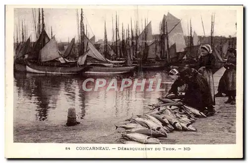 Ansichtskarte AK Concarneau Debarquement Du Thon peche