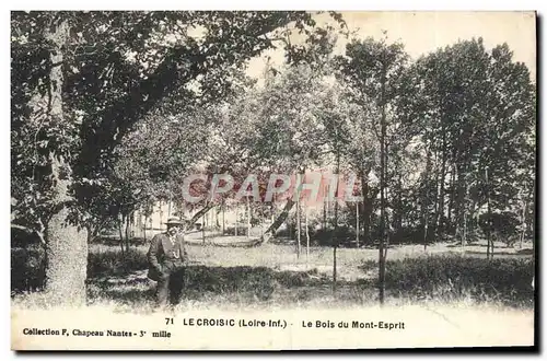 Cartes postales Le Croisic Le Bois du Mont Esprit