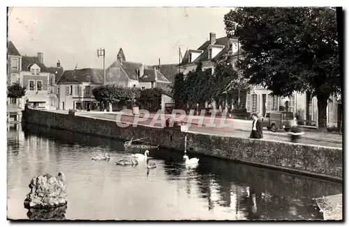 Cartes postales moderne Belleme La Piece d'eau et ses Cygnes