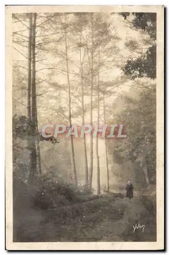 Cartes postales Huelgoat Dans la foret en Bordure de la Route