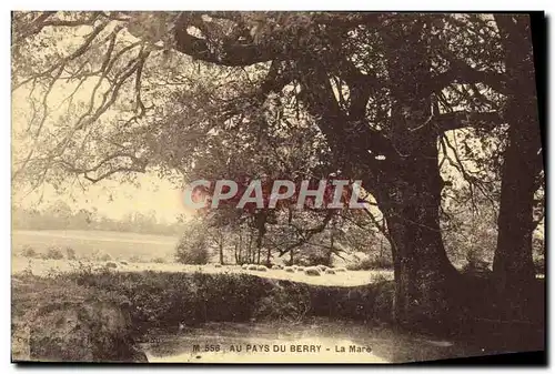 Cartes postales Au Pays Du Berry La Mare