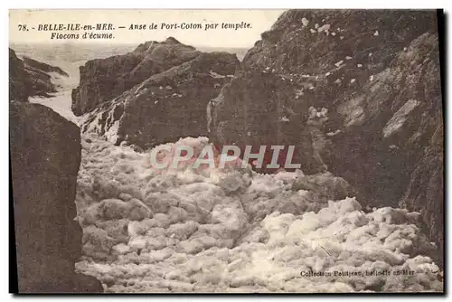 Cartes postales Belle Ile en Mer Anse de Port Coton Par Tempete Flocons d&#39ecume