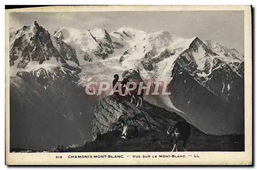 Ansichtskarte AK Chamonix Vue Sur Le Mont Blanc Bouc Chevre