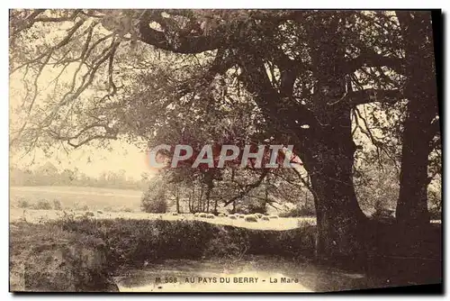 Cartes postales Au pays du Berry La mare