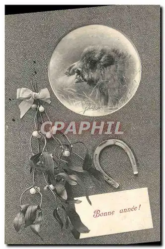 Cartes postales Fantaisie Bonne Annee Sanglier Fer a cheval