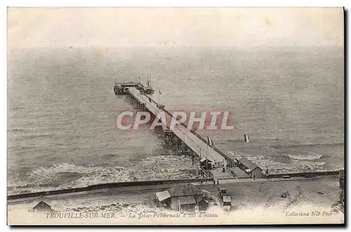 Cartes postales Trouville sur Mer La jetee promenade a vol d&#39oiseau