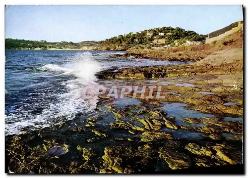 Cartes postales moderne Les Oursinieres So Cote D&#39Azur et d&#39or