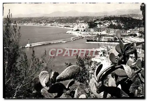 Cartes postales moderne La Cote D&#39Azur Nice Vue Generale Prise Du Mont Boron