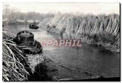 Cartes postales moderne La Cote D&#39Amour En Grande Briere Blins et Curee